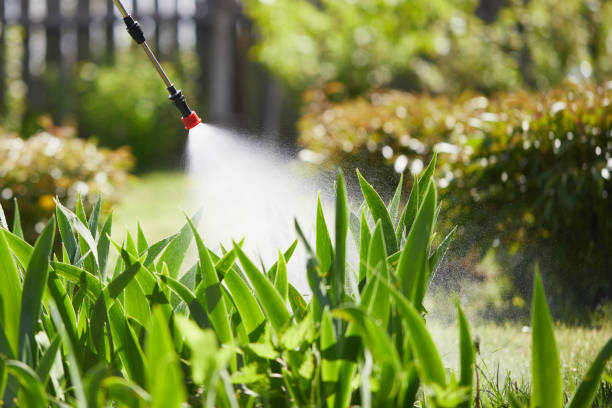 Tamper-Resistant Bait Stations for Rodents in Brices Creek