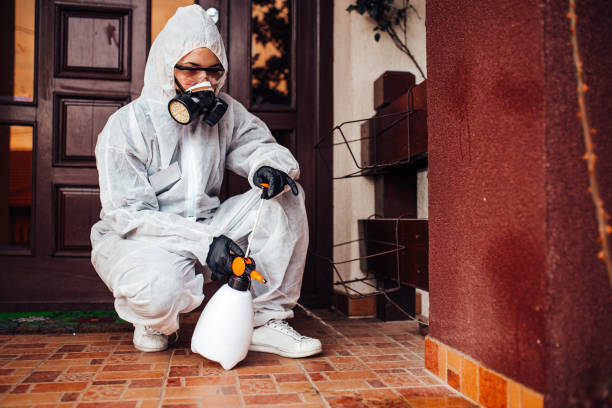 Attic and Crawl Space Rodent Treatment in Brices Creek