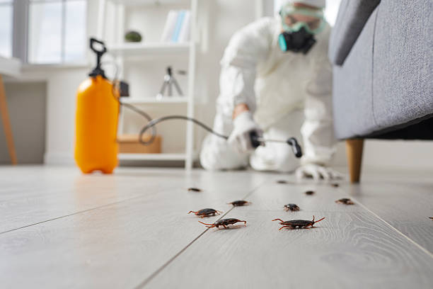 Commercial Rodent Management in Brices Creek